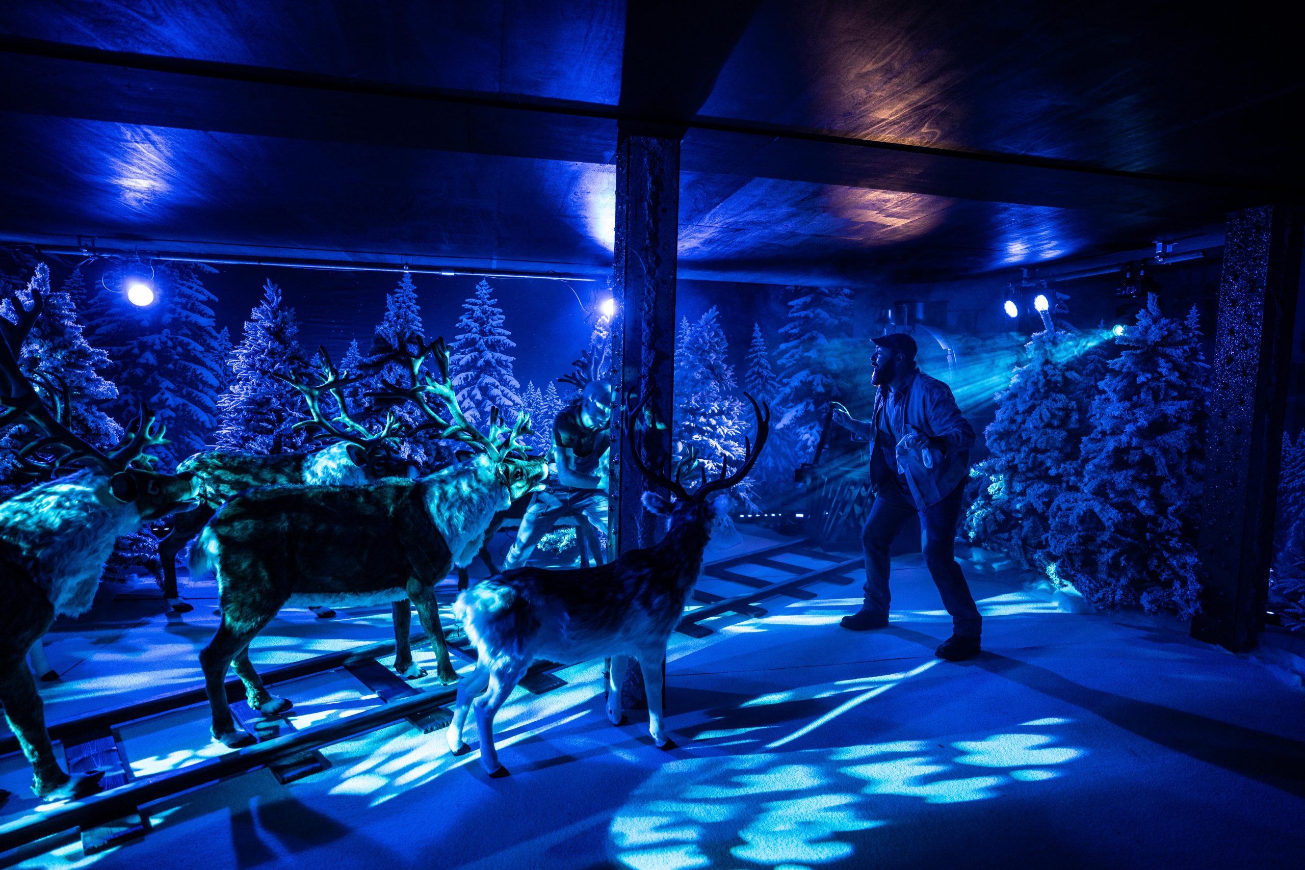 Magical Christmas experience in Manchester will bring The Polar Express to life