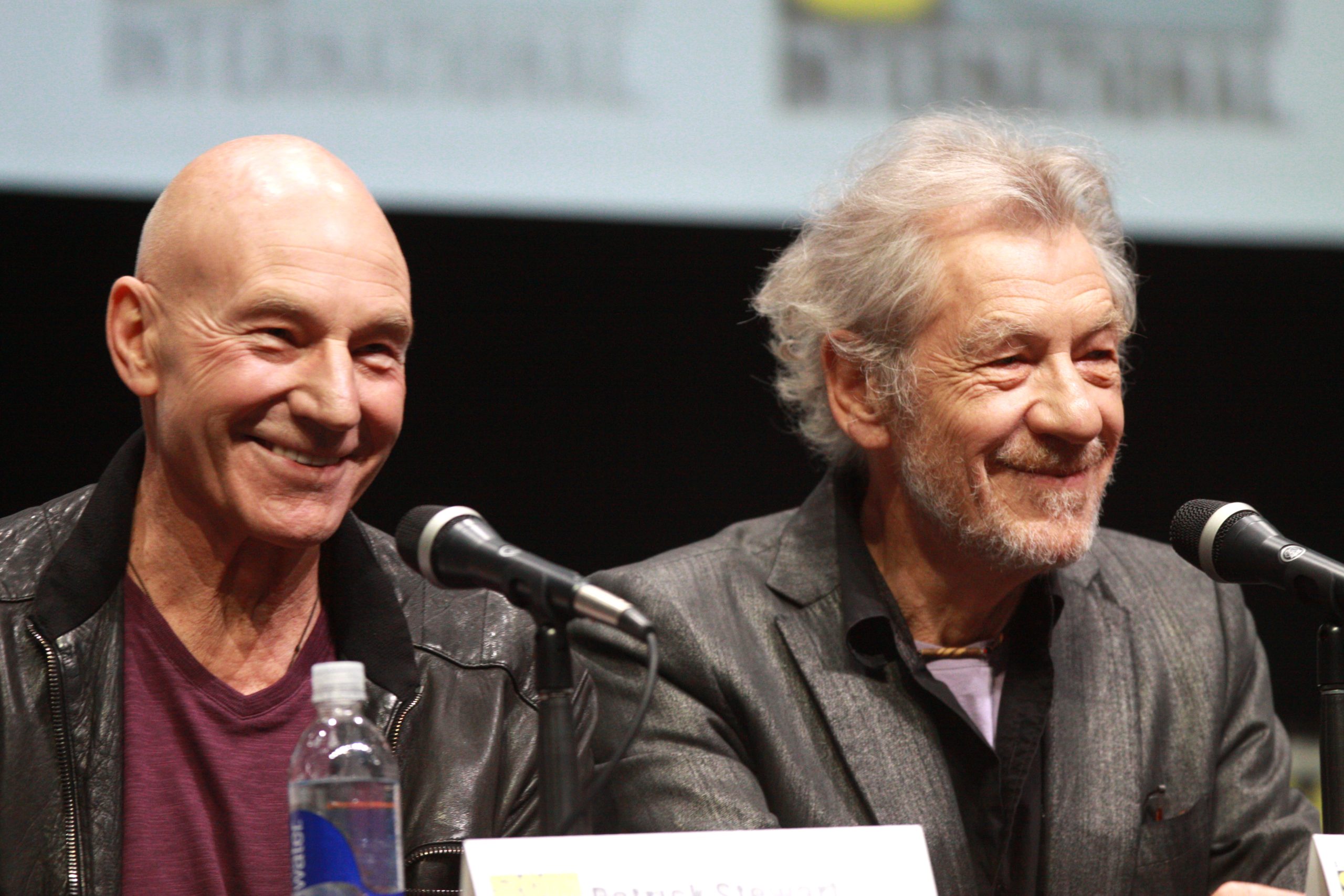 Sir Patrick Stewart and Sir Ian McKellen