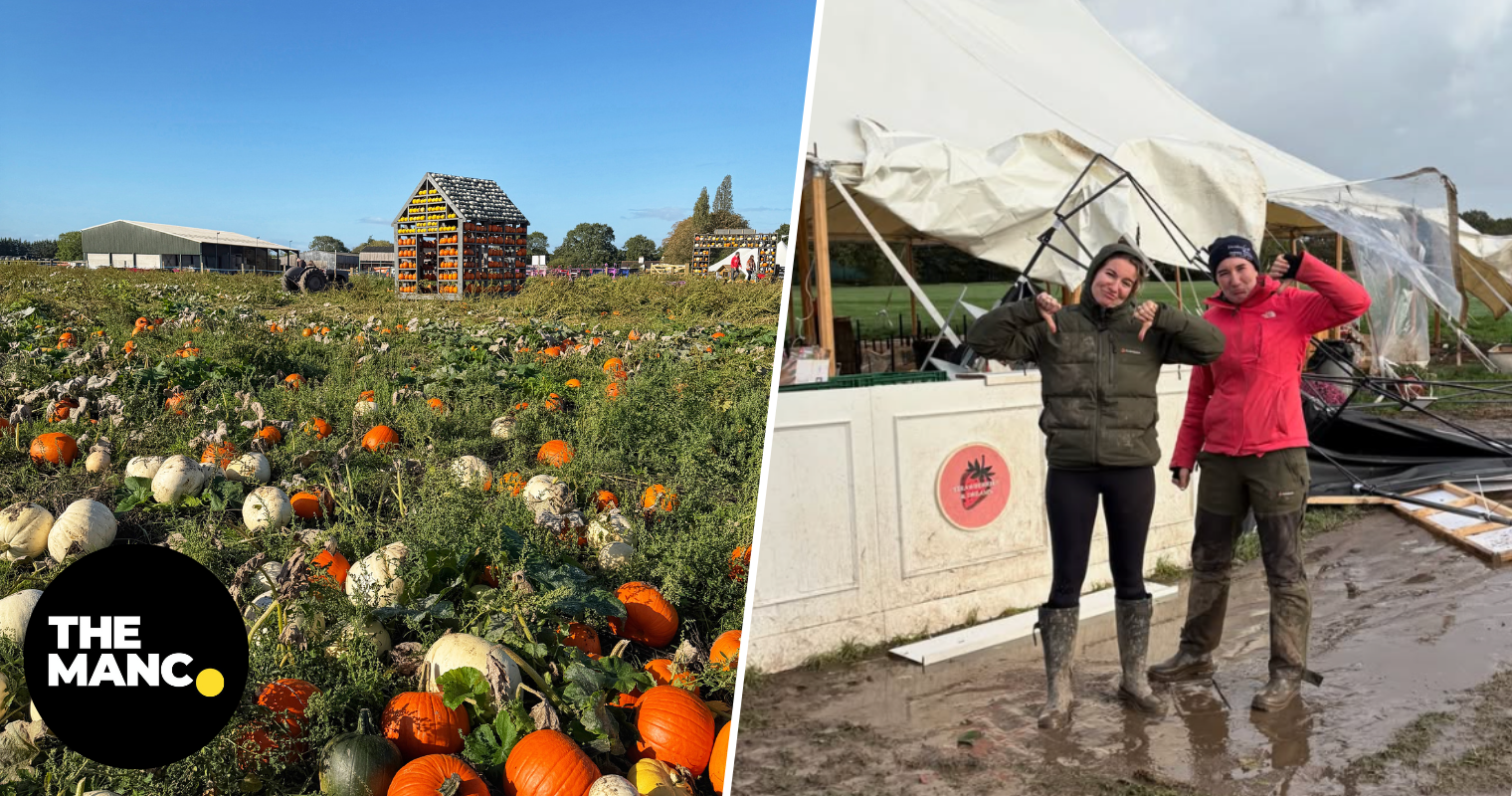 Popular pumpkin patch attraction describes ‘catastrophic' impact of Storm Boelo