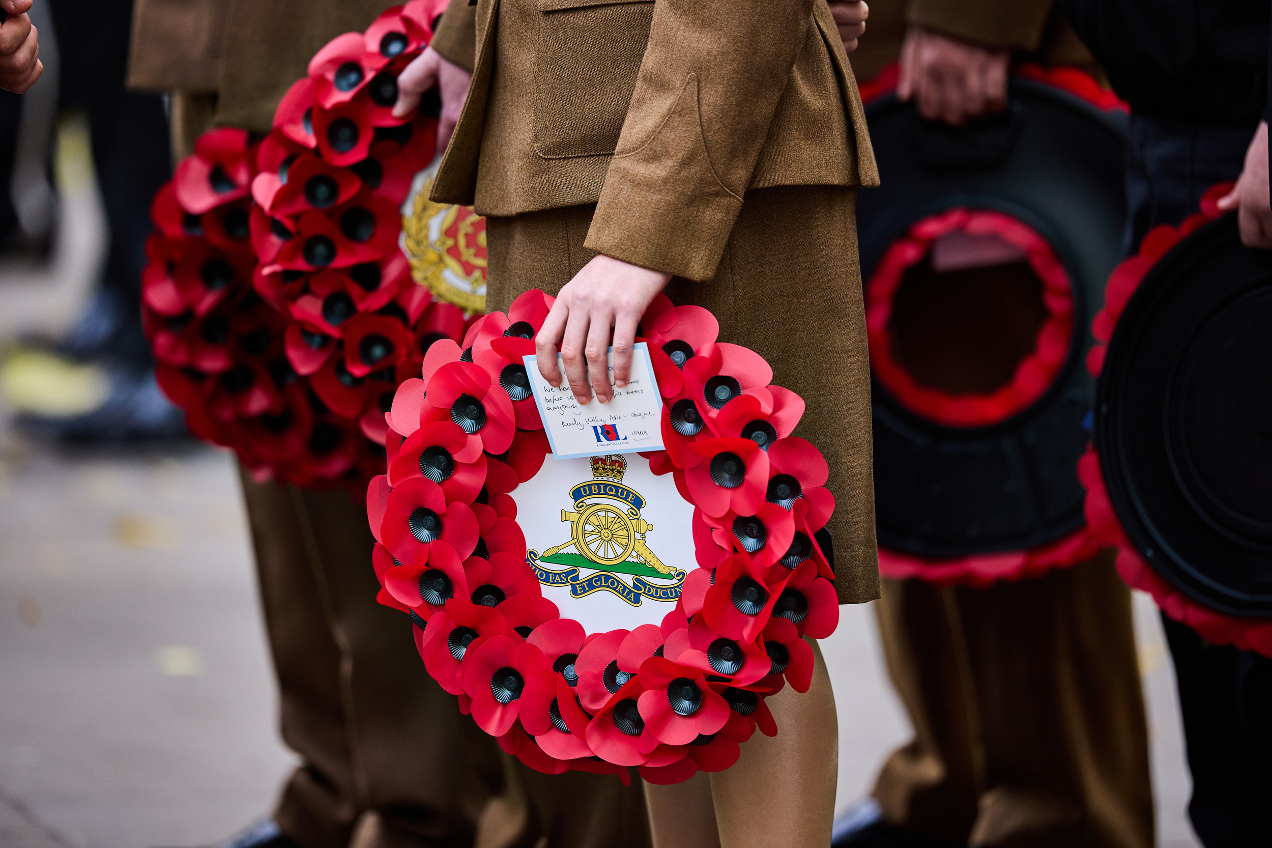 Remembrance Day poppies