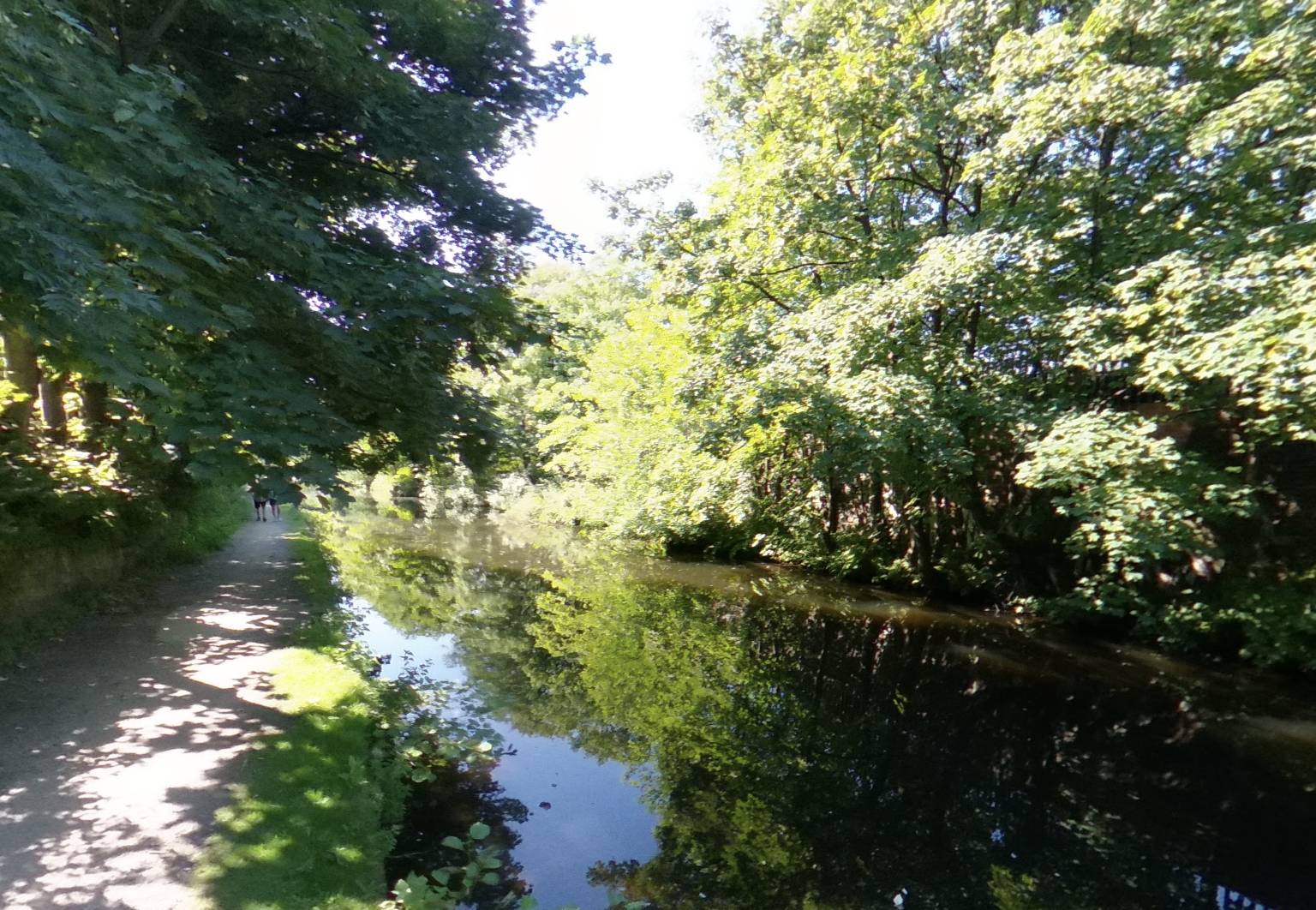 RSPCA appeals after French bulldog found dead in Oldham canal