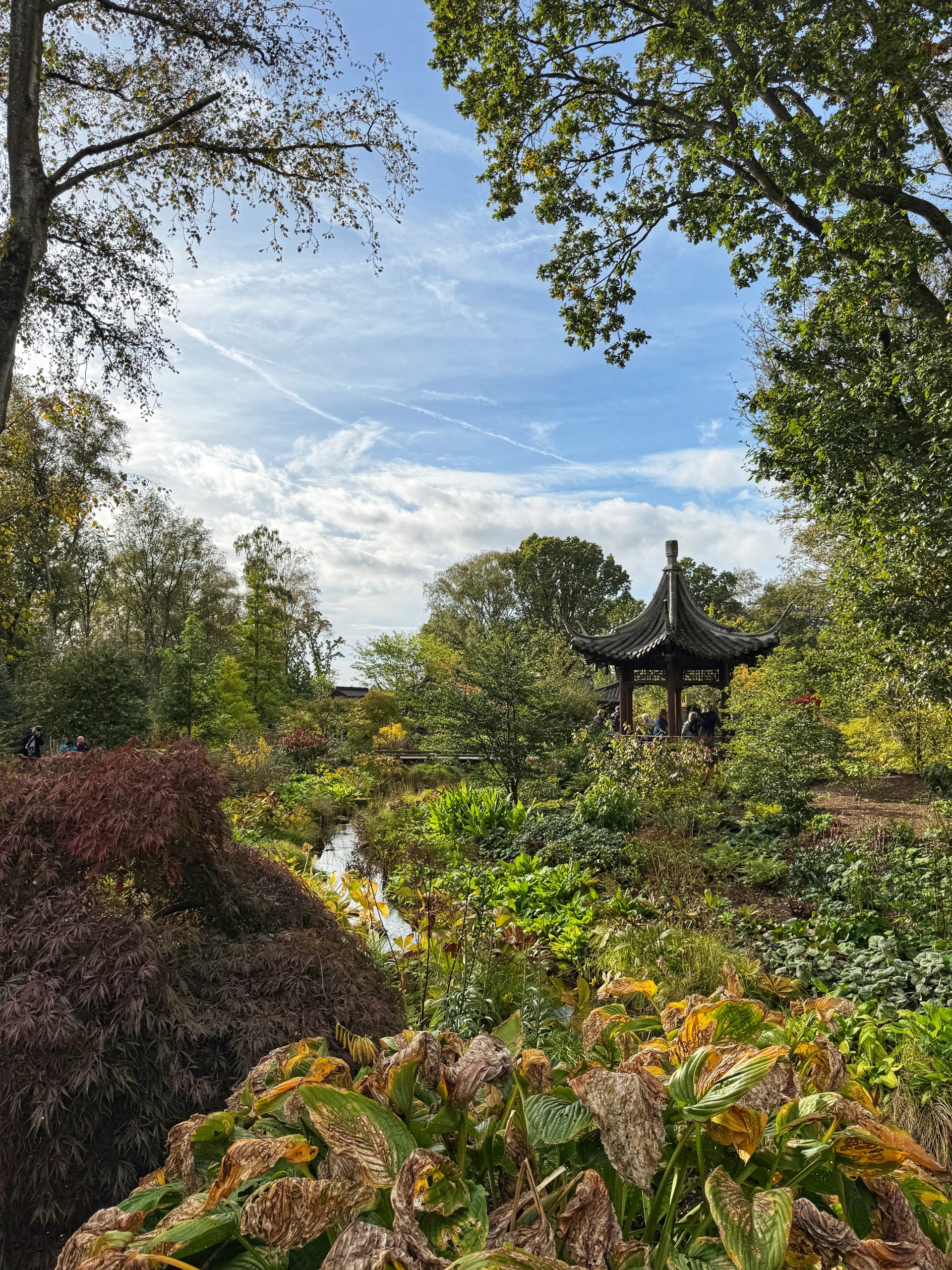A spectacular Chinese garden has opened at RHS Bridgewater, and it's a must-visit